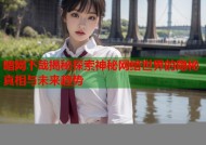 暗网下哉揭秘探索神秘网络世界的隐秘真相与未来趋势