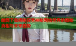 暗网下哉揭秘探索神秘网络世界的隐秘真相与未来趋势