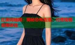 红房间暗网：揭秘恐怖直播，付费观看极限体验