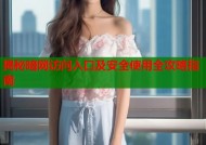 揭秘暗网访问入口及安全使用全攻略指南