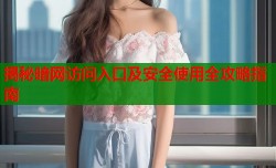 揭秘暗网访问入口及安全使用全攻略指南