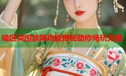 暗区突围禁网功能揭秘助你畅玩无阻