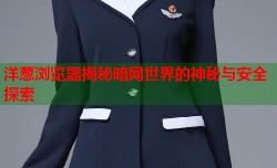 洋葱浏览器揭秘暗网世界的神秘与安全探索