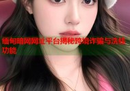 缅甸暗网网址平台揭秘跨境诈骗与洗钱功能