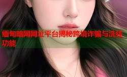 缅甸暗网网址平台揭秘跨境诈骗与洗钱功能