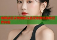 暗网禁区软黄揭秘深度探索网络隐秘世界真相