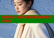 暗网禁区91揭秘深度探索神秘网络世界真相