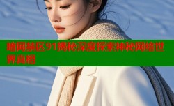 暗网禁区91揭秘深度探索神秘网络世界真相