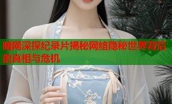 暗网深探纪录片揭秘网络隐秘世界背后的真相与危机