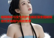 暗网揭秘与安全防护全解析探索隐秘网络世界真相与风险管理