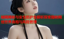 暗网揭秘与安全防护全解析探索隐秘网络世界真相与风险管理