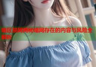 暗区禁网揭秘暗网存在的内容与风险全解析