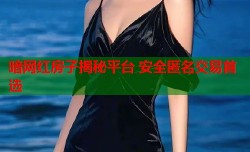 暗网红房子揭秘平台 安全匿名交易首选