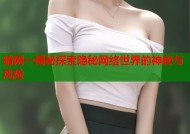 暗网一揭秘探索隐秘网络世界的神秘与风险