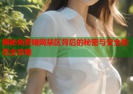 揭秘免费暗网禁区背后的秘密与安全防范全攻略