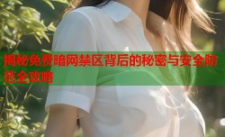 揭秘免费暗网禁区背后的秘密与安全防范全攻略