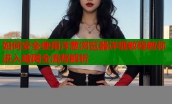 如何安全使用洋葱浏览器详细教程教你进入暗网全流程解析