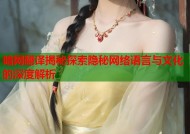 暗网翻译揭秘探索隐秘网络语言与文化的深度解析