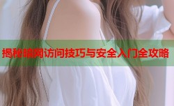揭秘暗网访问技巧与安全入门全攻略