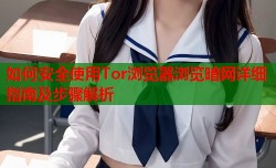 如何安全使用Tor浏览器浏览暗网详细指南及步骤解析