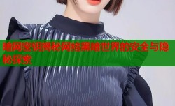 暗网密钥揭秘网络黑暗世界的安全与隐秘探索