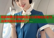 网禁呦萝资源暗网流出引发网络安全与法律风险深度解析(1)
