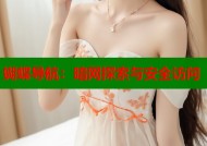 蝴蝶导航：暗网探索与安全访问