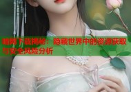 暗网下载揭秘：隐藏世界中的资源获取与安全风险分析