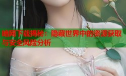 暗网下载揭秘：隐藏世界中的资源获取与安全风险分析