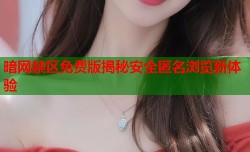 暗网禁区免费版揭秘安全匿名浏览新体验