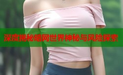  深度揭秘暗网世界神秘与风险探索