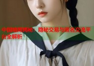 中国暗网揭秘：隐秘交易与匿名交流平台全解析