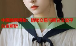中国暗网揭秘：隐秘交易与匿名交流平台全解析