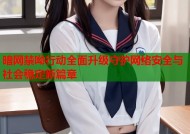 暗网禁呦行动全面升级守护网络安全与社会稳定新篇章