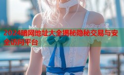 2024暗网地址大全揭秘隐秘交易与安全访问平台