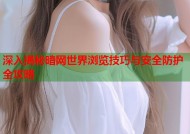深入揭秘暗网世界浏览技巧与安全防护全攻略