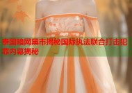 泰国暗网黑市揭秘国际执法联合打击犯罪内幕揭秘