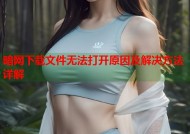 暗网下载文件无法打开原因及解决方法详解
