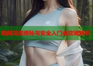 暗网深度揭秘与安全入门全攻略解析