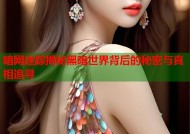 暗网迷踪揭秘黑暗世界背后的秘密与真相追寻