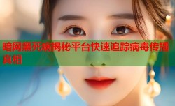 暗网黑死病揭秘平台快速追踪病毒传播真相