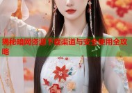 揭秘暗网资源下载渠道与安全使用全攻略
