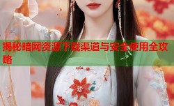 揭秘暗网资源下载渠道与安全使用全攻略