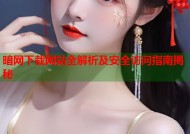 暗网下载网站全解析及安全访问指南揭秘