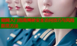 暗网入门指南揭秘安全访问技巧与风险防范方法