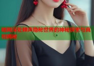 暗网深处蝉声隐秘世界的神秘探索与真相揭秘