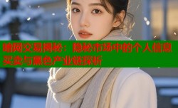 暗网交易揭秘：隐秘市场中的个人信息买卖与黑色产业链探析