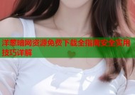 洋葱暗网资源免费下载全指南安全实用技巧详解
