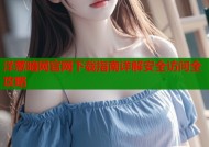 洋葱暗网官网下载指南详解安全访问全攻略