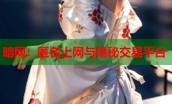 暗网：匿名上网与隐秘交易平台